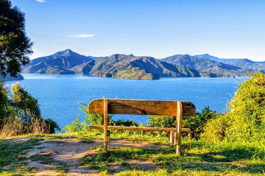 Queen Charlotte Track: Cruise & Self-Guided Hike from Picton - Picking the right hike: 12.7 km to Punga Cove vs 17 km to Furneaux Lodge