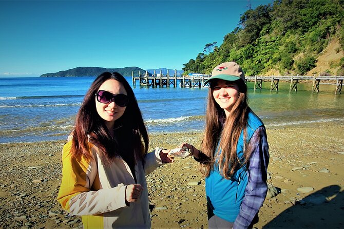 Queen Charlotte Track - Ultimate one Day Walk and Cruise - Price and value: is $228.37 a fair deal?