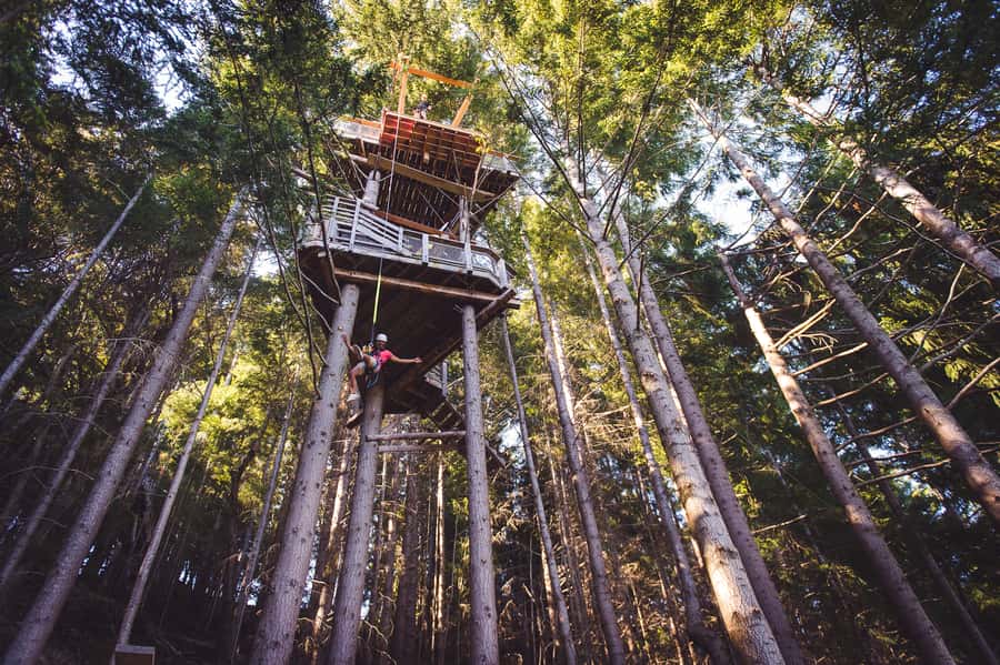 Queenstown: 1-Hour Zipline Tour with 2-Lines & 21-Meter Drop - Should You Book This Queenstown Zipline Tour?