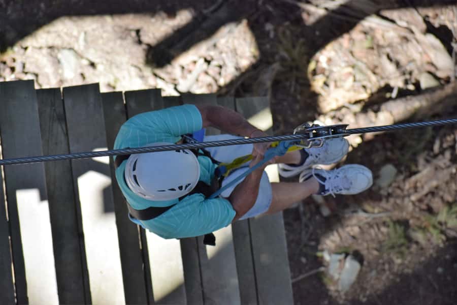 Queenstown: 1-Hour Zipline Tour with 2-Lines & 21-Meter Drop - Learning While You Fly: Myths, Birds, and Forest Ecology