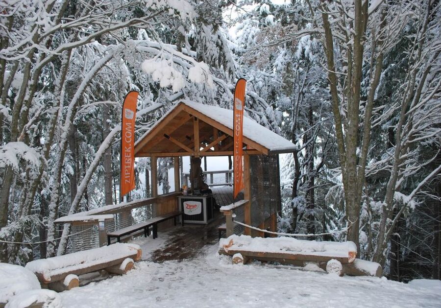 Queenstown: 2-Hour Zipline Tour with 4-Lines - What to wear in Queenstown: warm layers, closed-toe shoes