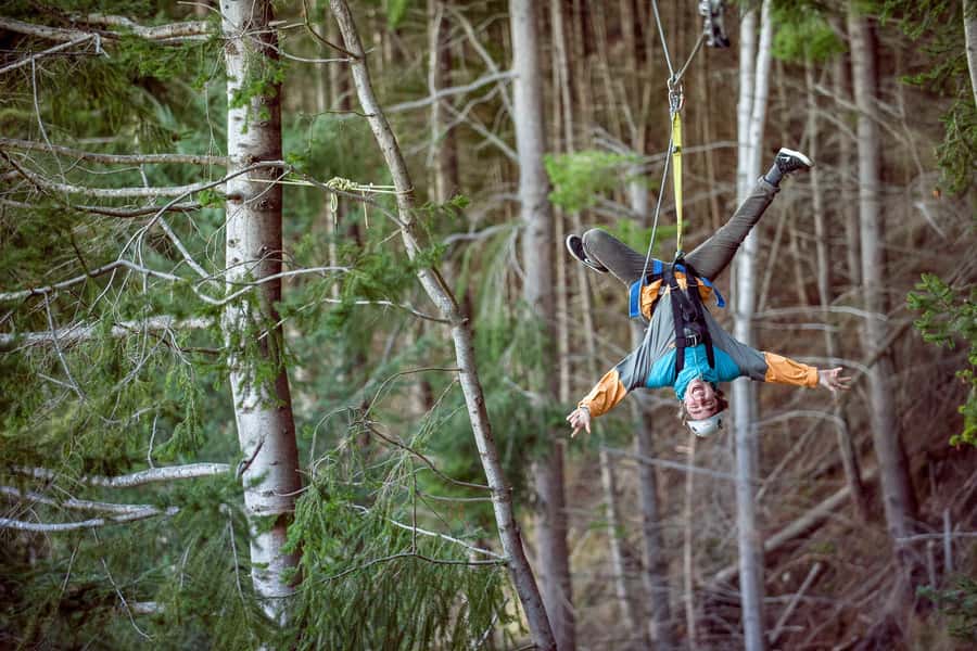 Queenstown: 2-Hour Zipline Tour with 4-Lines - Who should book the 4-line Ziptrek tour, and who should skip