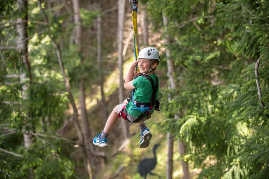 Queenstown: 2-Hour Zipline Tour with 4-Lines - Booking choices and day-of realities you can plan for