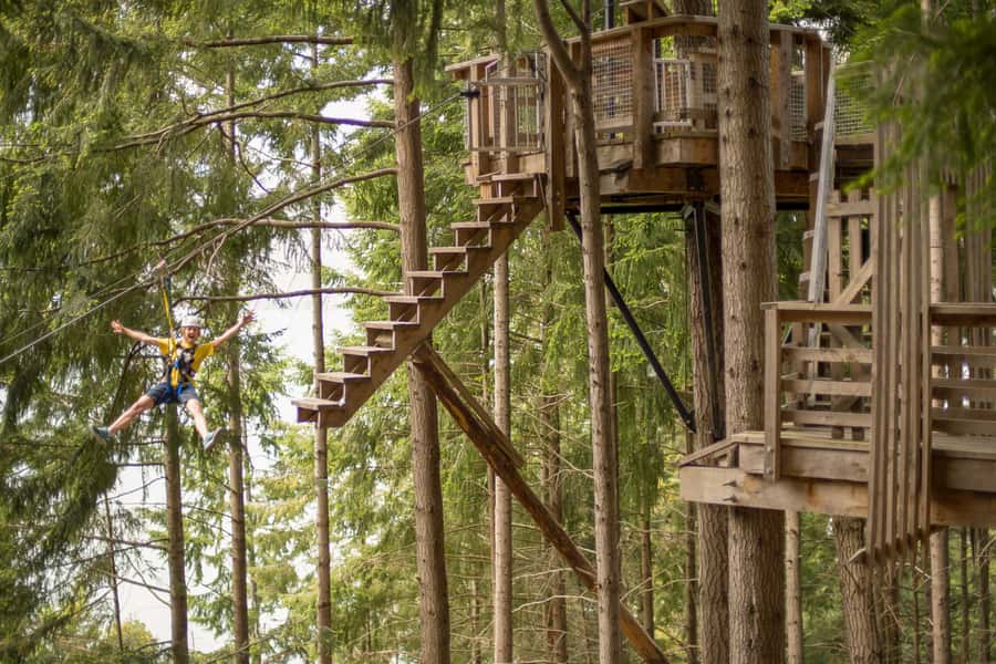 Queenstown: 3-Hour Zipline Adventure with 6-Lines - The 20-Minute Downhill Beech Forest Walk to the End