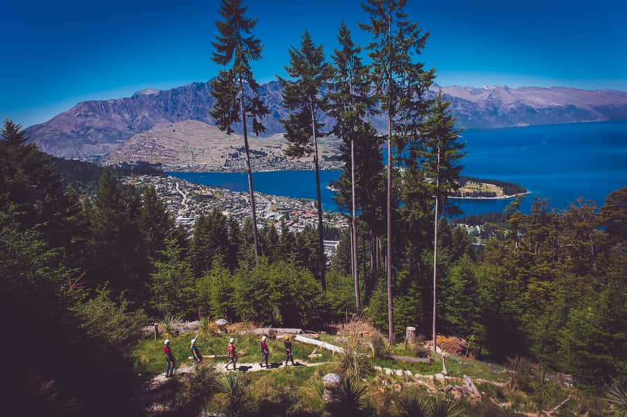 Queenstown: 3-Hour Zipline Adventure with 6-Lines - Safety, Gear, and the Limits You Should Know Before You Go