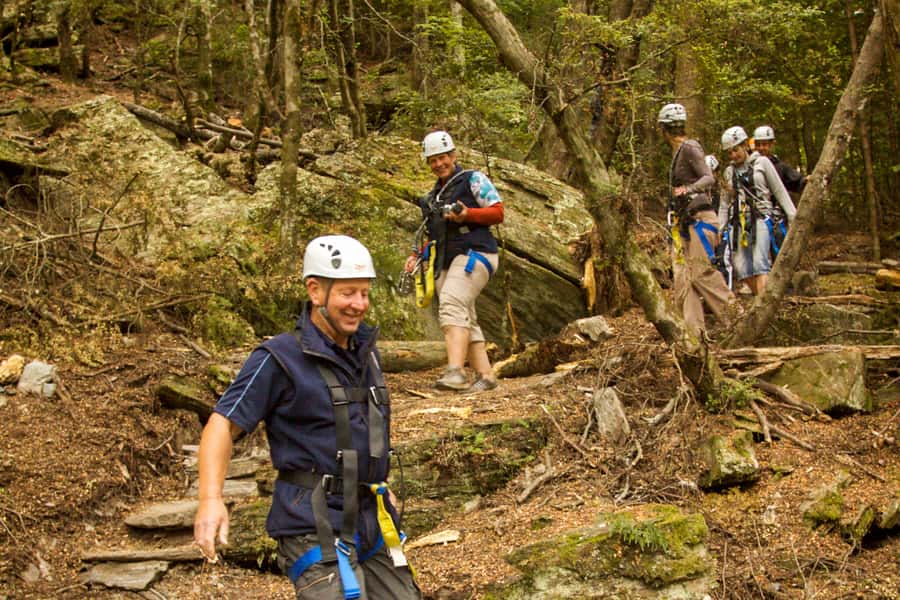 Queenstown: 3-Hour Zipline Adventure with 6-Lines - Tree-Top Platforms and the Stories Between Lines