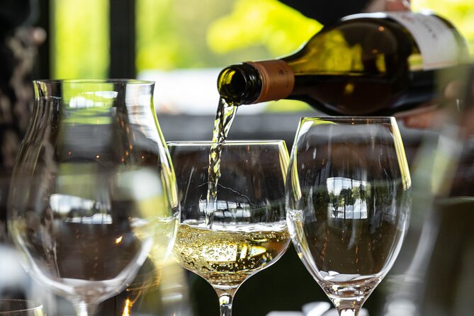 Queenstown Afternoon Wine Tour - Peregrine | Kinross | Amisfield - Stop 4: Amisfield Cellar Door and those Central Otago views
