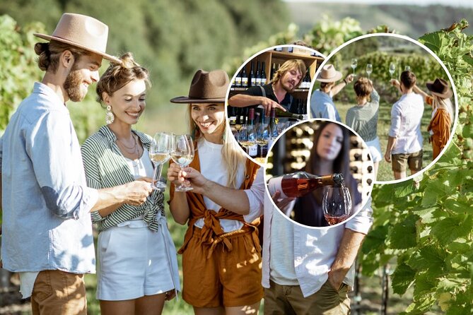 Queenstown Afternoon Wine Tour - Peregrine | Kinross | Amisfield - Small-group energy, adult-only calm, and a guide who drives