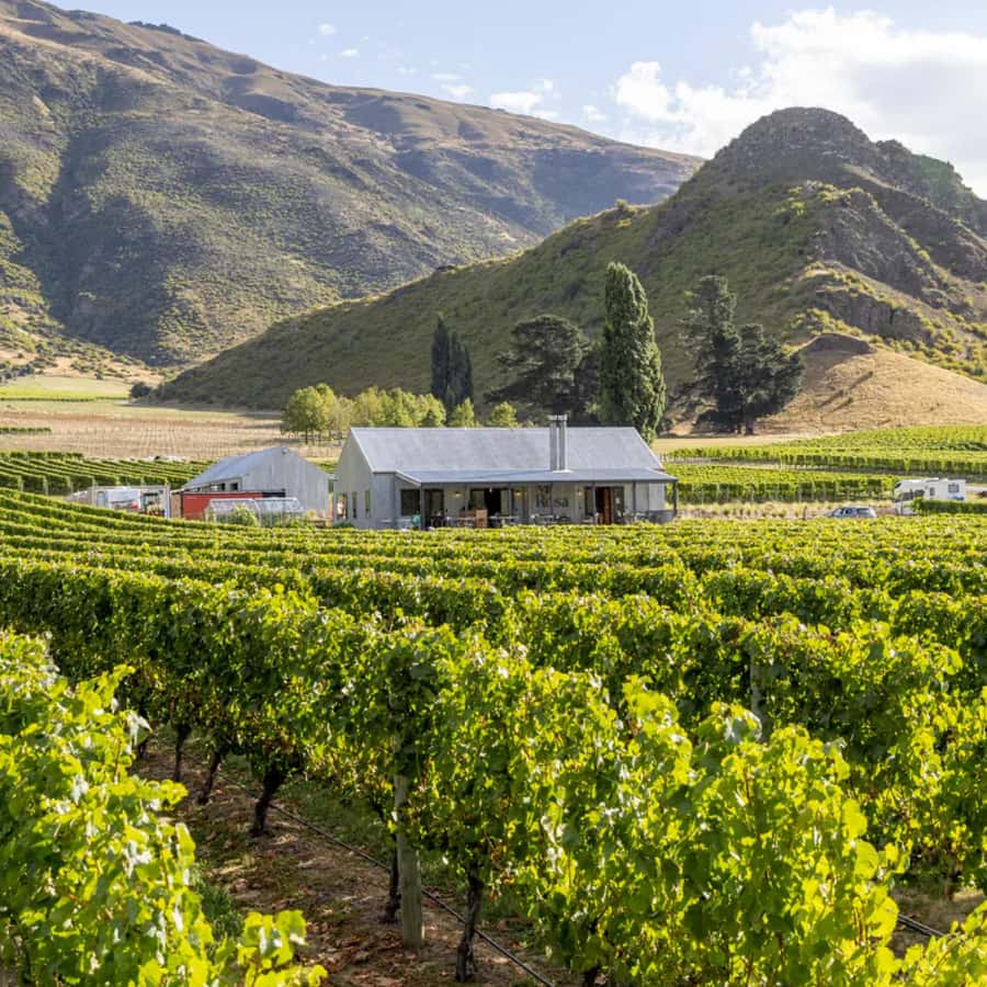 Queenstown, Arrowtown, Gibbston: Flexible Wine Hopper Tours - How this Queenstown wine tour stays relaxed and on your terms