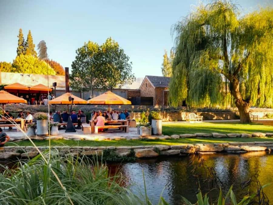Queenstown, Arrowtown, Gibbston: Flexible Wine Hopper Tours - Tips to get the best day out of it