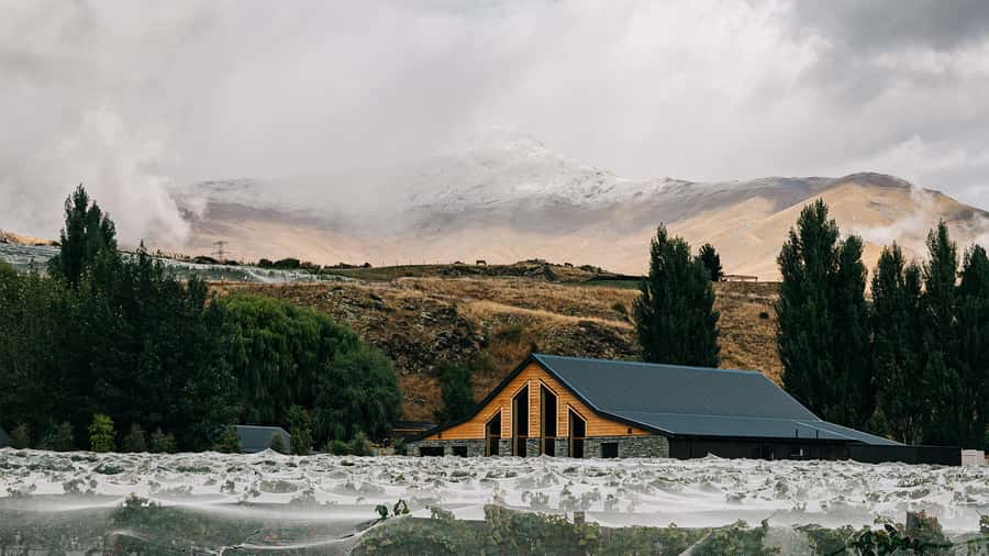 Queenstown: Classic Central Otago Wine Tasting Experience - What you taste in 40 minutes, and why it matters