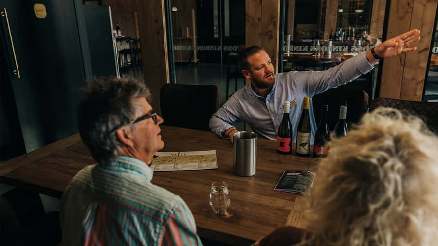 Queenstown: Classic Central Otago Wine Tasting Experience - Central Otago stories, pioneers, and subregion talk you can use