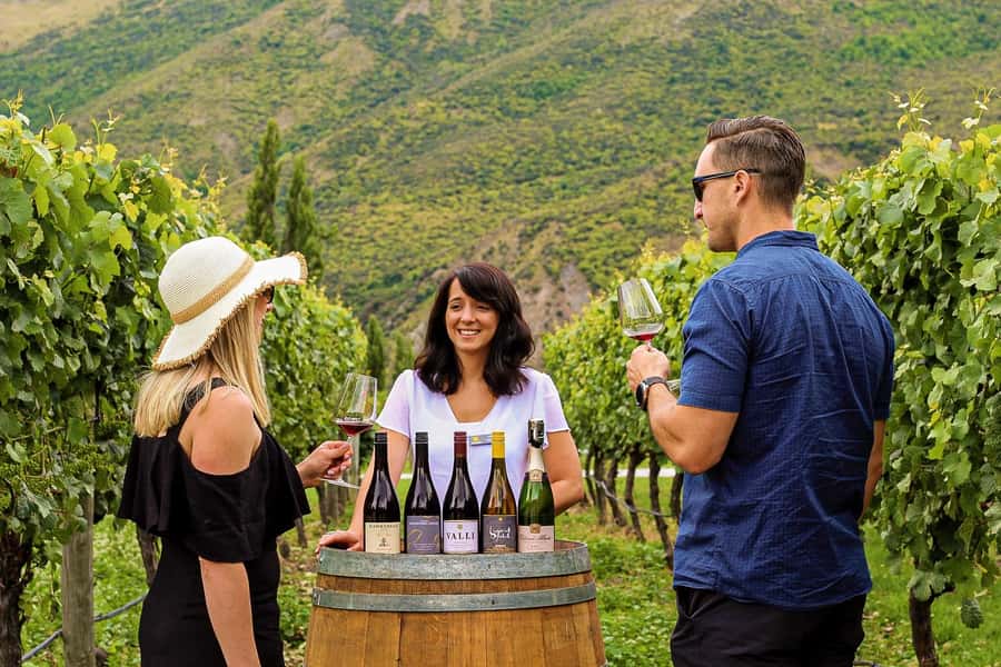 Queenstown: Classic Wine Tour - Key things I’d plan for before you go