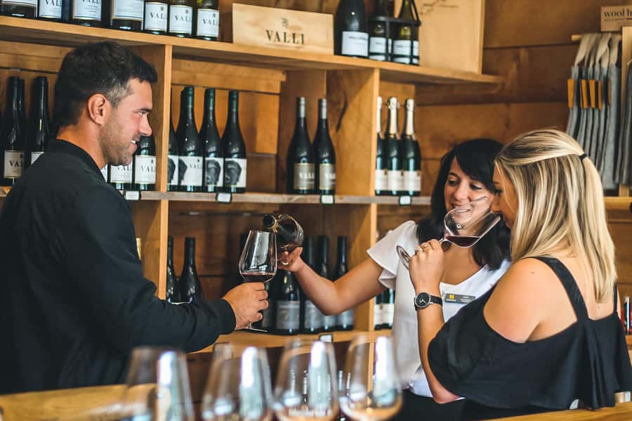 Queenstown: Classic Wine Tour - From Queenstown to Gibbston, with Kawarau Gorge in view