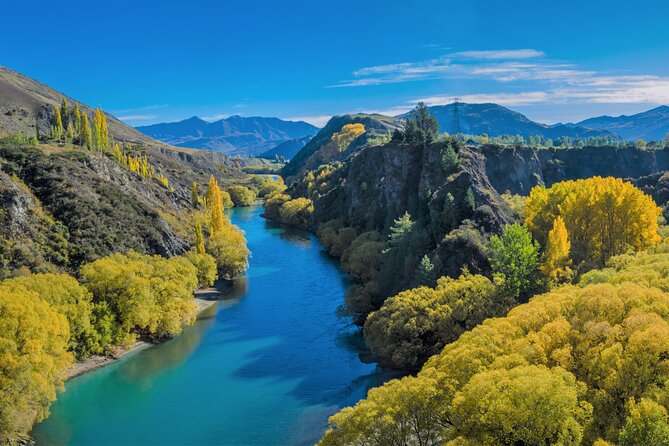 Queenstown Classic Wine Tour: 3 Winery Visits, Cave Tour & Cheese - What the $148.32 price includes, and why it can be good value