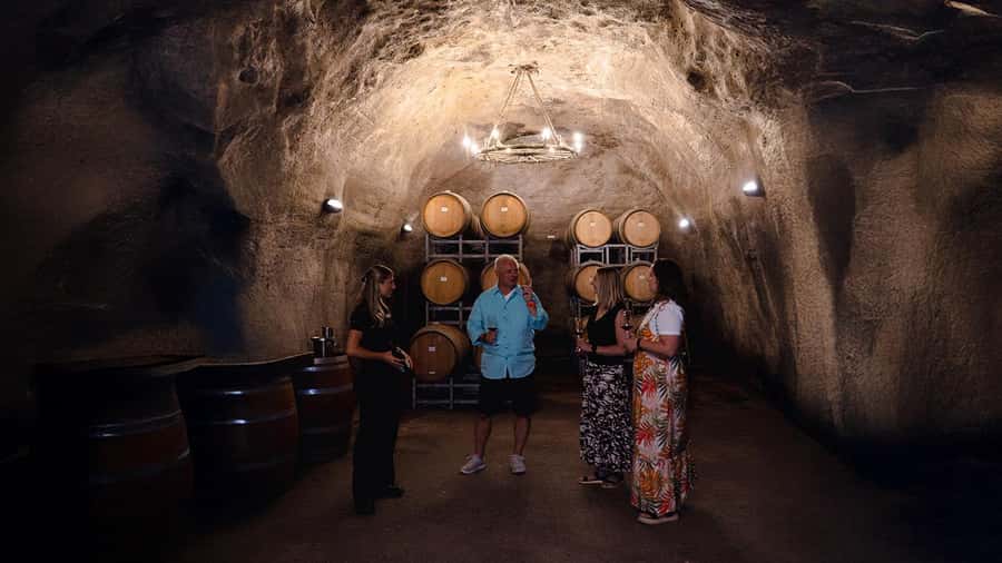 Queenstown: Classic Wine Tour - Gibbston Valley Winery and the New Zealand wine cave highlight