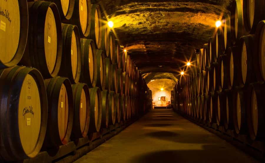 Queenstown: Classic Wine Tour - Cheeseboard pairing that makes the tastings easier