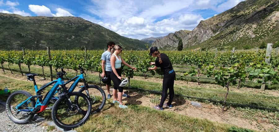 Queenstown: Guided E-Bike Tour with Winery Visits & Tastings - Key highlights that make this tour worth your time