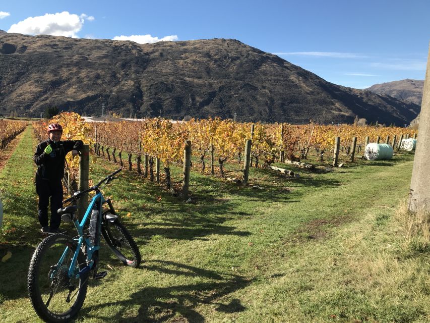 Queenstown: Guided E-Bike Tour with Winery Visits & Tastings - Should you book Ride to the Sky’s Ride to the Vines?