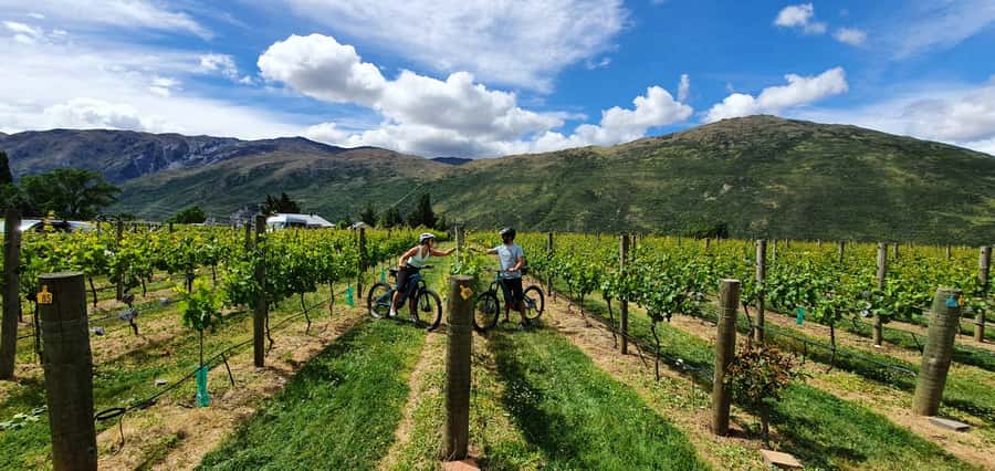 Queenstown: Guided E-Bike Tour with Winery Visits & Tastings - Pedal power in Queenstown: what the e-bikes really change
