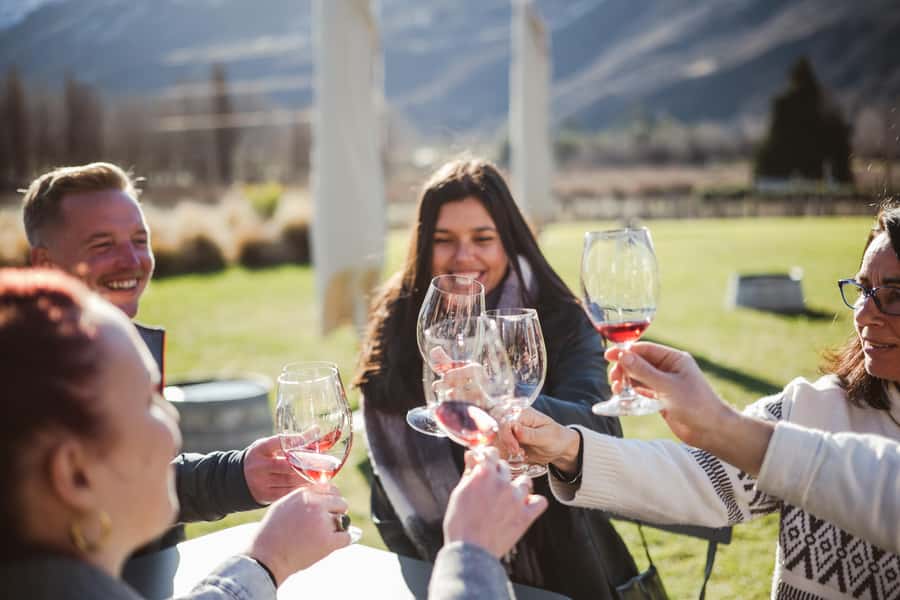 Queenstown: Helicopter & Wine Tasting Tour - Who should book this Queenstown helicopter wine tour