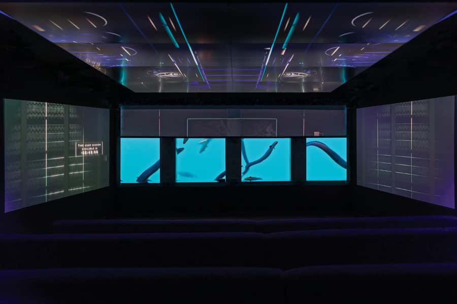 Queenstown: Hidden Underwater Theatre Experience - Queenstown History and the Maori Legend Part That Actually Lands