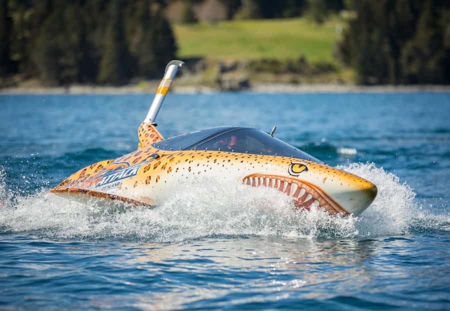 Queenstown: Hydro Attack Shark Ride - Key Points You Will Actually Care About