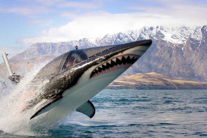 Queenstown Hydro Attack Shark Ride Adventure - Key highlights to know before you go