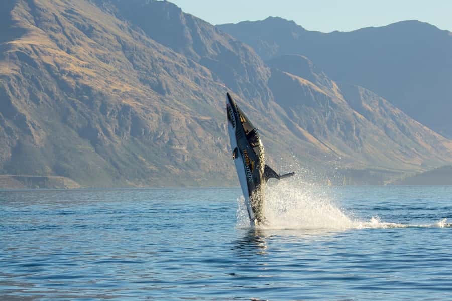 Queenstown: Hydro Attack Shark Ride - The Ride Sequence: What Happens From Check-In to Splashdown