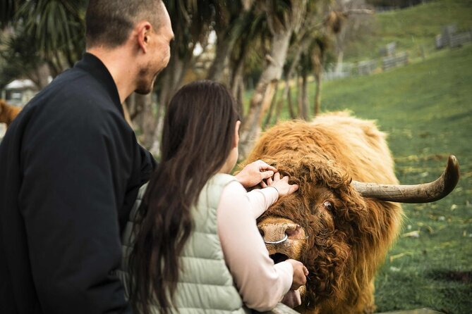 Queenstown Lake Cruise and Walter Peak Farm Adventure - Key highlights you will actually care about