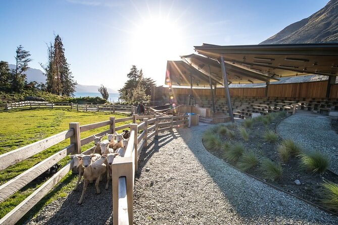 Queenstown Lake Cruise and Walter Peak Farm Adventure - Sheepdog demonstrations: where the show actually earns its spot