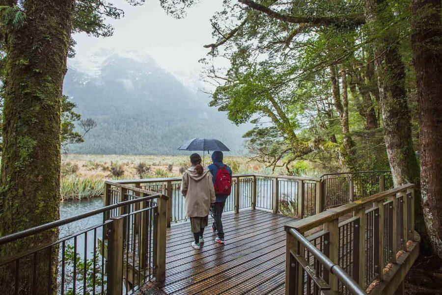 Queenstown: Milford Sound Coach & Cruise Full-Day Trip - Lunch, tea, and onboard cafe options: fueling a 12-hour day