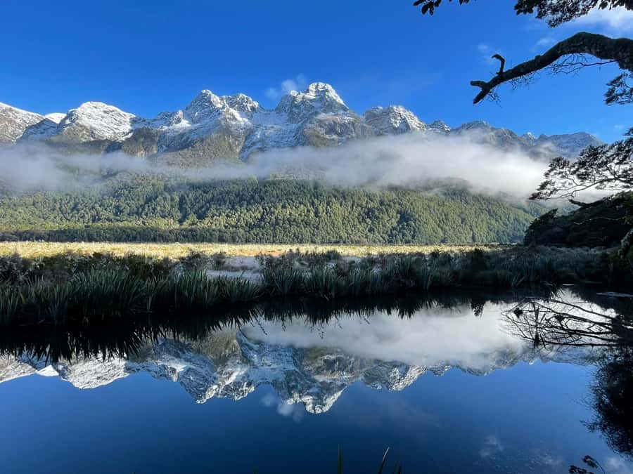 Queenstown: Milford Sound Small-Group Tour w Cruise & Lunch - Milford Sound Cruise, Mitre Peak, Dolphins, and Thousands of Waterfalls