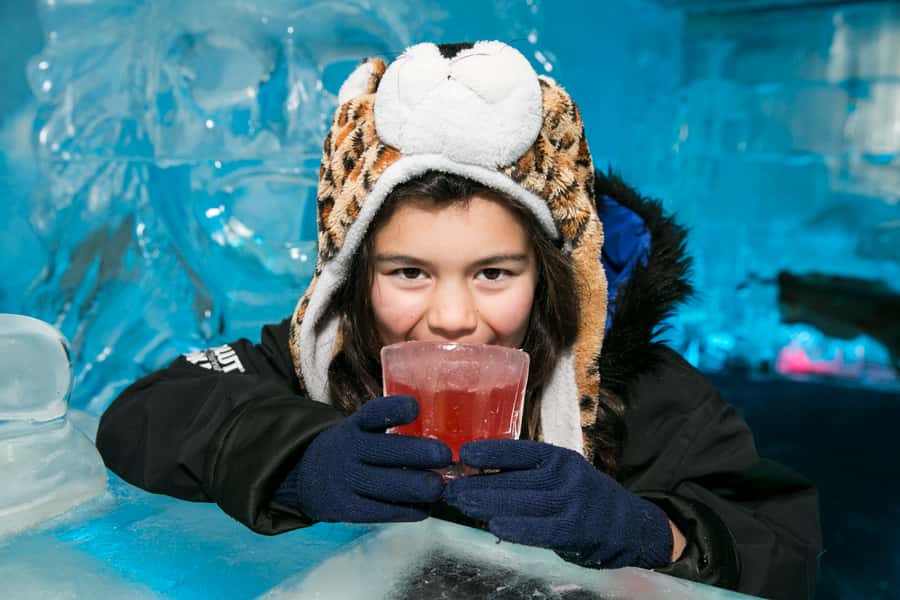 Queenstown: Minus 5 Ice Bar Experience with Drink Options - Key points to know before you go