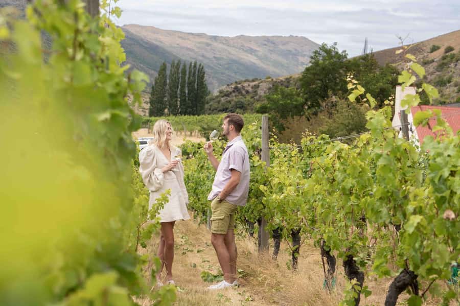 Queenstown: Original Premium Half-Day Gibbston Wine Tour - Queenstown to Gibbston in a small-group rhythm