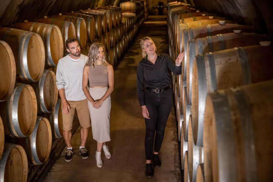 Queenstown: Original Premium Half-Day Gibbston Wine Tour - Who should book this Gibbston half-day wine tour