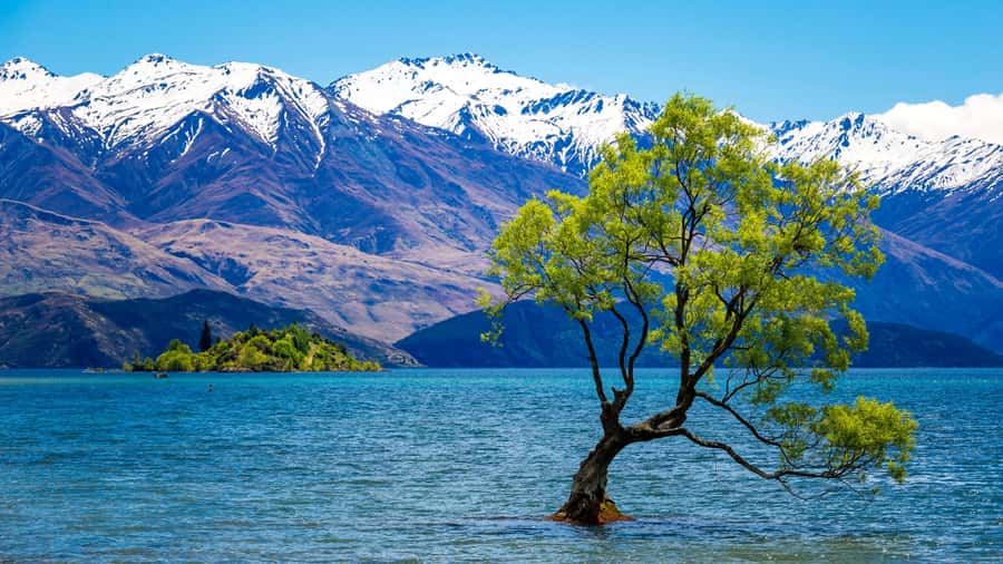 Queenstown: Private Day Trip to Wanaka, Arrowtown & More - Crown Range Views: Scenic Stops That Feel Effortless