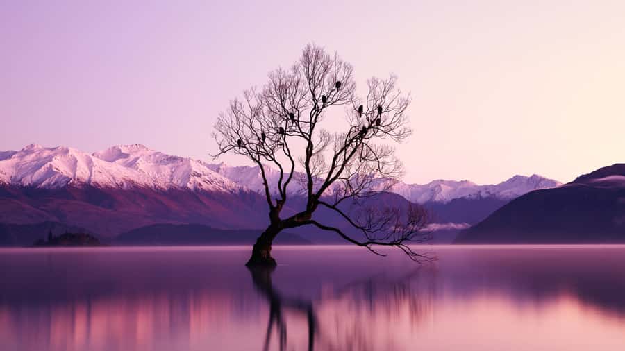 Queenstown: Private Day Trip to Wanaka, Arrowtown & More - Arrowtown: Gold-Rush Vibes Without the Rush