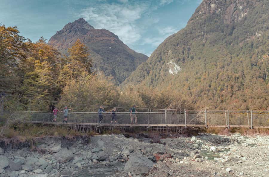 Queenstown: Routeburn Track Guided Full-Day Walk or Half Day - Routeburn Track: why this classic hike feels different
