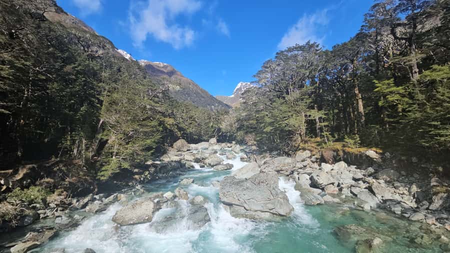 Queenstown: Routeburn Track Guided Full-Day Walk or Half Day - Getting there from Queenstown: the drive is part of the experience