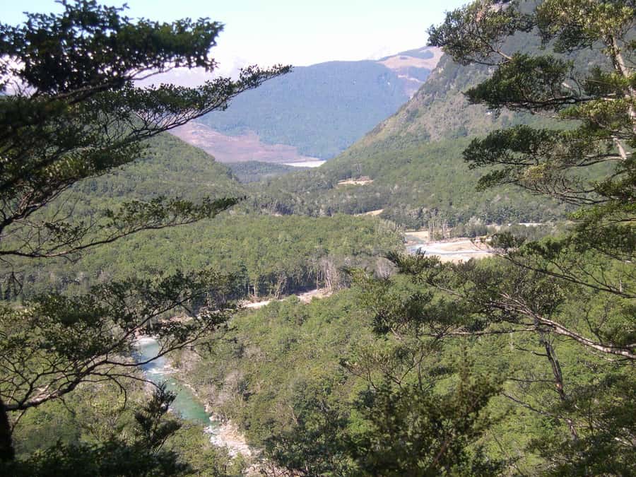 Queenstown: Routeburn Track Guided Full-Day Walk or Half Day - Lunch on the trail: a picnic that keeps you fueled