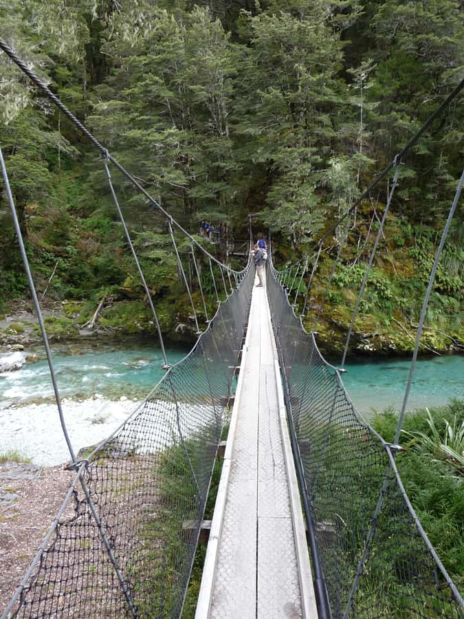 Queenstown: Routeburn Track Guided Full-Day Walk or Half Day - Who should book, and who should skip this one