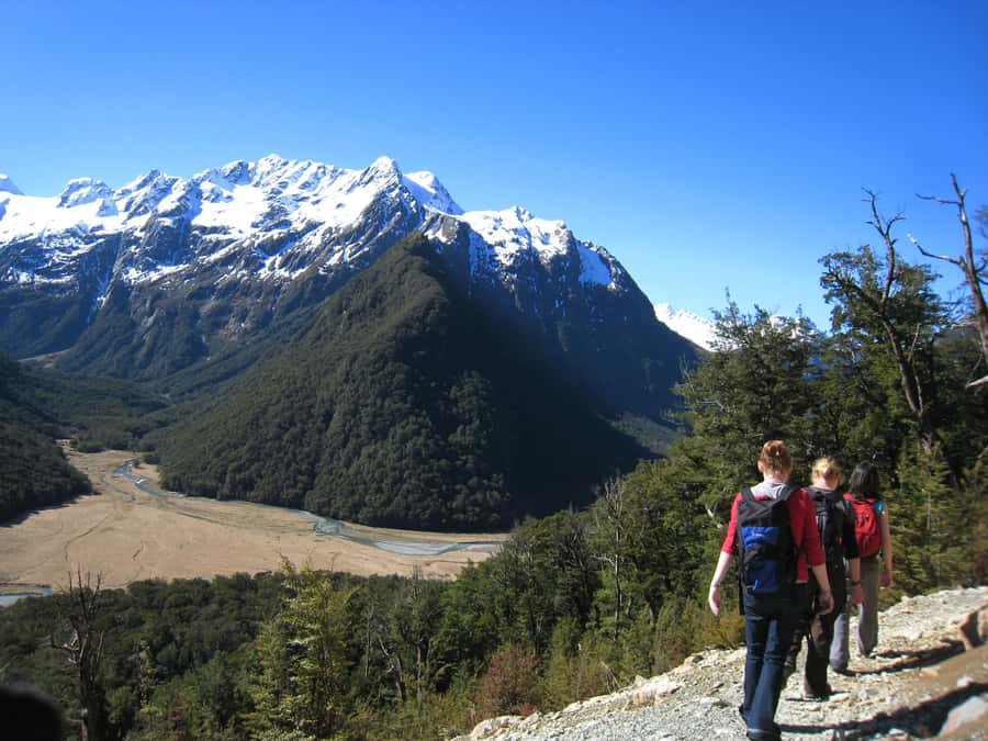 Queenstown: Routeburn Track Guided Full-Day Walk or Half Day - Full day vs half day: picking the right version for your legs