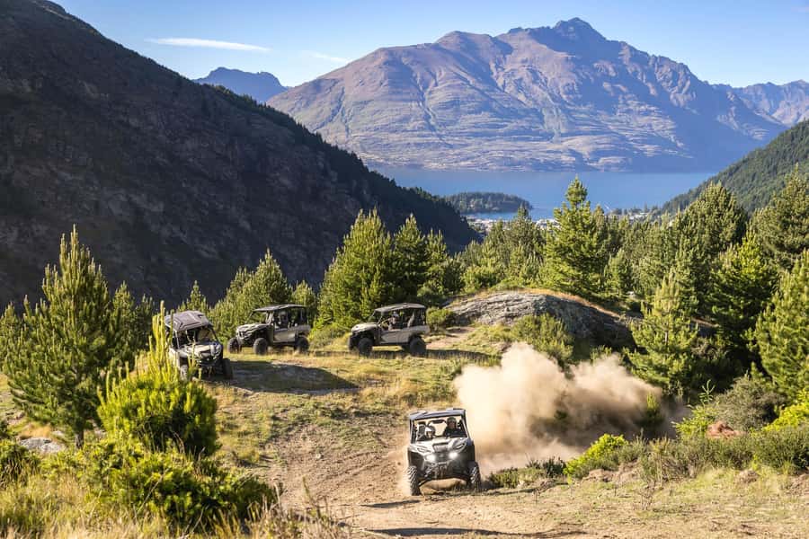 Queenstown: Self Drive Guided Buggy Tour - Who should do this buggy tour, and who should skip it