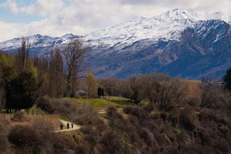 Queenstown: Self-Guided Bike Ride on the Arrow Bridges Trail - Why the Arrow Bridges Trail feels like a Queenstown classic