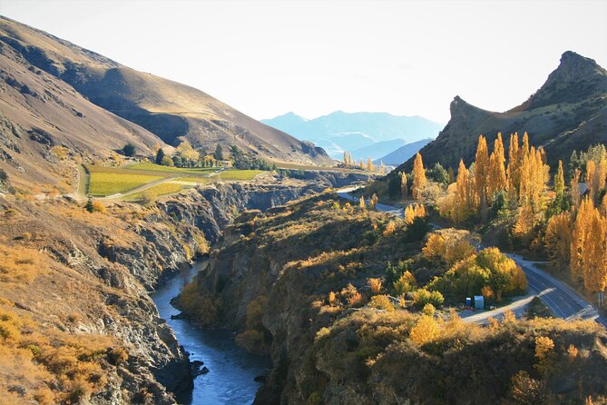 Queenstown Sightseeing Tour: Highlights of Queenstown - Stop 3: Gibbston Valley Winery tasting, cheese shop time, and a real break