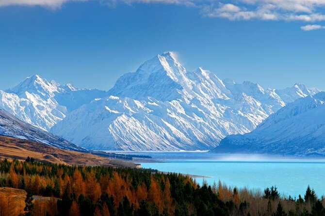 Queenstown to Christchurch One-Way Tour via Mt Cook & Lake Tekapo - Lindis Pass and Omarama: the sky opens up, and sheep do the talking