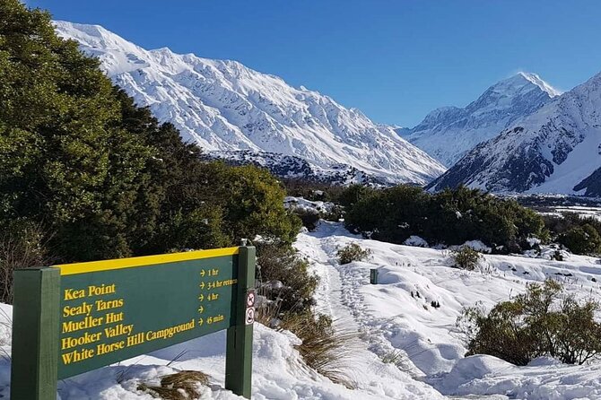 Queenstown to Christchurch One-Way Tour via Mt Cook & Lake Tekapo - Lake Pukaki: quick timing, big color payoff