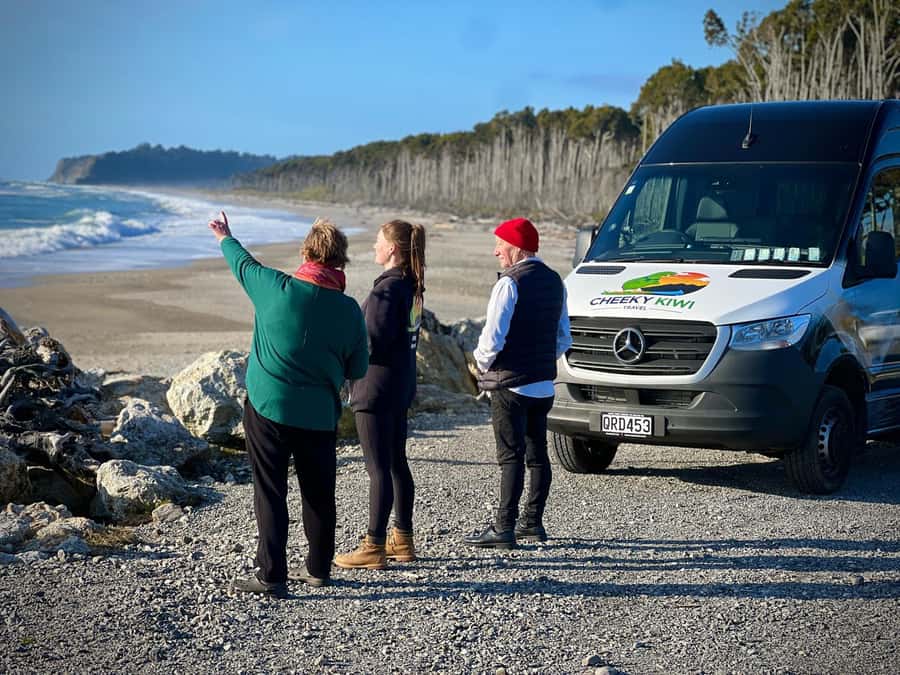 Queenstown to Christchurch via Franz Josef 2-Day Tour - Should you book the Queenstown to Christchurch via Franz Josef 2-day tour?