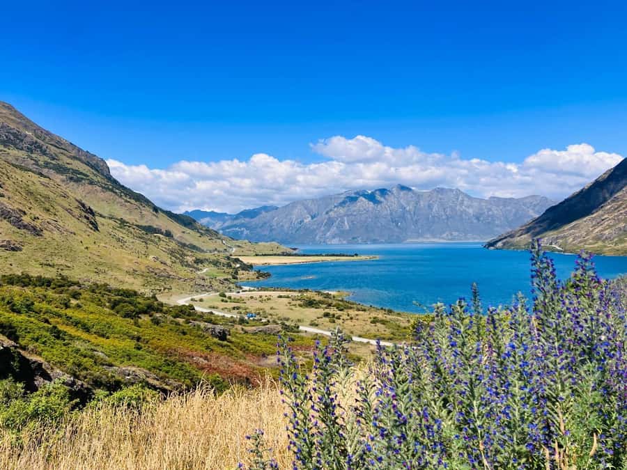 Queenstown to Christchurch via Franz Josef 2-Day Tour - Value check: does this tour make sense versus DIY?